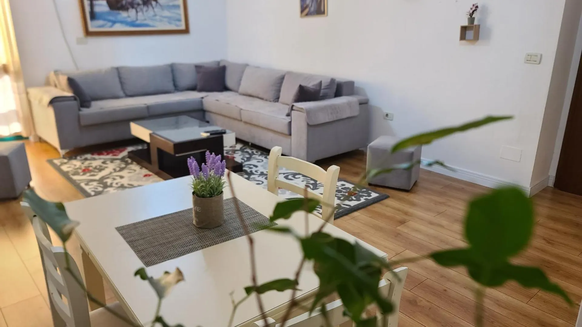 Apartament Center 티라나 0*,